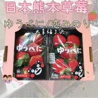 在飛比找蝦皮購物優惠-【緁迪水果JDFruit】現貨-日本熊本菊池草莓(600g+