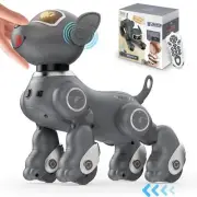 VATOS Remote Control Robot Dog Toy with Voice & Touch Sensors STEM Toy for Kids