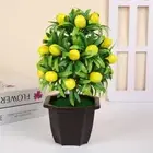 Plastic Artificial Fruit Plant Potted Mini Fake Plant Outdoor Courtyard Decor