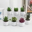 Evergreen Artificial Succulent Fake Plants Small Potted Plants Home
