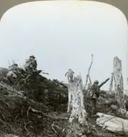Assault in Trones Wood Somme France WWI 1916 The British 14th and - Old Photo