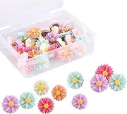 30 Pieces Flower Pushpins Flower Thumb Tacks Decorative Floret Push Pins Colorful Floret Thumbtacks for Photo Wall, Feature Wall, Whiteboard, Cork Board, Map, Bulletin Board, Office or Home