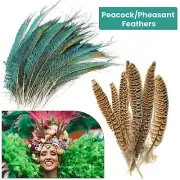 10x Natural Peacock Tail Feathers Pheasant Wedding Home Décor DIY Art Crafts
