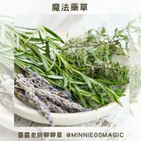 在飛比找蝦皮購物優惠-迷迭香 迷迭香粉 香蜂草 甜菊 菩提葉 紫錐花 覆盆子葉  