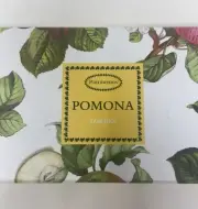 Portmeirion Cake Pie Slicer Desert Server 10" Pomona Fruit Design With Box
