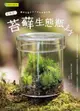 苔療癒！苔蘚生態瓶DIY