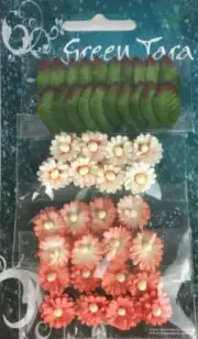 Peach Mimosas (MimPe)