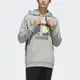 Adidas Hoodie 70 Celeb [FT5845] 男 連帽上衣 帽T 經典 休閒 復古 國際版 毛圈布 灰