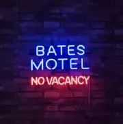 Bates Motel No Vacancy Neon Sign 17"x14" Lamp Light Bar Beer Nightlight Gift EY