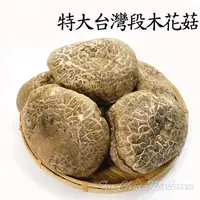 在飛比找蝦皮商城優惠-台灣段木~花菇(四兩裝)- 南投仁愛鄉椴木種植，段木長出的花