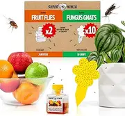 Super Ninja Fruit Fly & Fungus Gnat Traps Combo – 2 Fruit Fly Killer + 10 Gnat Traps, Indoor Fly Control for Houseplants, Non-Toxic, Safe for Kids & Pets, Up to 3 Months of Protection