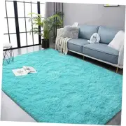 Ultra Soft Fluffy Area Rug for Bedroom Living Room Home Decor, Plush Shaggy