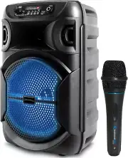 8 Inch Portable 800 W Bluetooth Speaker W/Woofer & Tweeter and Portable Micropho