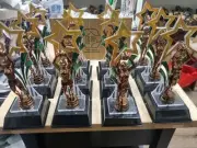 12 x 200mm Netball Trophies New Trophy Range.