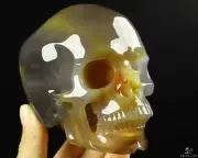 4.1" Carnelian Hand Carved Crystal Skull, Super Realistic, Crystal Healing