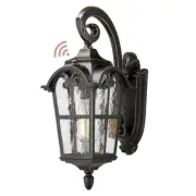 Jazava 1-Light 17.5 in. Black Finish Shade Dusk to Dawn Hardwired Sensor Outdoor
