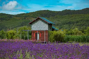 麗江普濟農莊Puji Farm