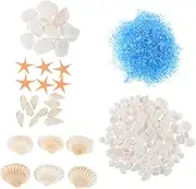 Totority 1 Set Marine Material Package DIY Resin Art Kit Decorations Sea Glass Crafts Kits Beach Sea Shells Small Seashells Seashell Container Marine Epoxy Resin Shells