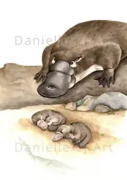 Original Watercolour Platypus and Puggles Painting - Australian animal artwork