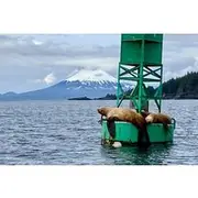 Save 5.00%! Private Charter Scenic Wildlife Excursion for Cruise Passengers