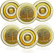 6 Pcs Fruit of The Spirit Christian Challenge Coin - Galatians 5:22-23 Bible Verse Pocket Token Inspirational Religious Prayer Coins Christian Coin Gifts with Clear Protective Case