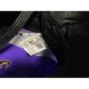 LeBron James 鞋子 紫金 二手 鞋子 型號us 11 穿4.5次 極新
