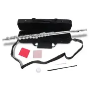 16 Close Hole C Flute with Case C key Nickel Silver plated for student,adult