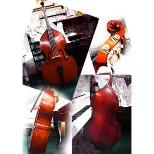 愛森柏格樂器-低音大提琴轉讓