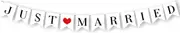 JUST MARRIED Banner Wedding Decorations for Reception Wedding Bunting Photo Booth Props Signs Bridal Shower Decorations