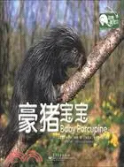 動物萌寶貝：豪豬寶寶（簡體書）