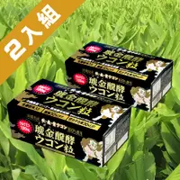 在飛比找PChome24h購物優惠-【沖繩薑黃堂 Ukondo】琥金醗酵薑黃錠(30包/盒)x2