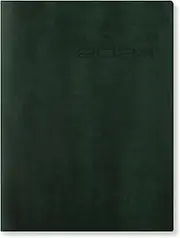 Letts of London Lecassa A6+ Day to a Page Multilanguage 2024 Diary with Appointments, British Racing Green