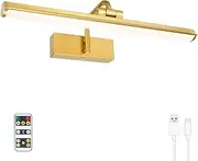 KANESIKI Battery Operated Picture Light, Cordless Painting Light with Remote and Timer, Rechargeable Art Lighting, Dimmable Display Lamp for Wall Artwork Portrait Dartboard Gallery Photo