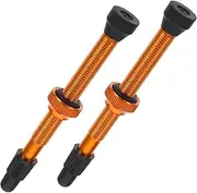 SEWOART 1 Pair Tubeless Bike Valve Stems Core with Caps Easy Installation Durable and Corrosion Resistant for Bike Tire Maintenance