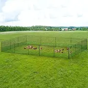 i.Pet Chicken Fence, 5000 x125cm Electric Wire Poultry Fencing Mesh Chickens Coop Cage Rabbit Hutch Pet Enclosure Duck Goose House Animal Barrier, Lightweight Heavy Duty Double Prong with Caps Black