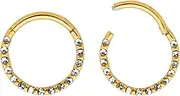 365 SLEEPERS Titanium Implant Grade 16G 6mm - 10mm Gem Hinged Segment Ring Helix Tragus Septum Clicker Nose Lip Hoop Earring Body Piercing Jewellery