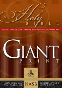 在飛比找博客來優惠-Giant Print Handy-Size Bible-N