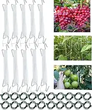 30Pcs Tomato Hooks with String,Plant Support Clips, with 33 Feet Garden Twine - Heavy Duty Plant Trellis for Tomatoes, Cucumbers, Peppers, Vines ，Reusable