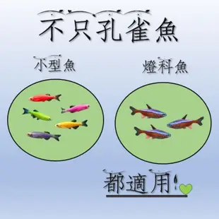 ［G-Z］台灣福壽 孔雀魚專用飼料38g/140g 小型魚 燈科魚 都適用