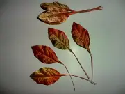VINTAGE MILLINERY FALL COLOR VARIGATED SATIN LEAVES - VINTAGE