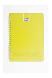 Spiral A6 Notebook--UNT-PASNBRSA6R