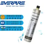 EVERPURE 愛惠浦 BH2濾心(免運費)