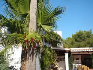拉帕爾梅拉伊維薩酒店La Palmera Ibiza