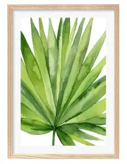 [Profile Australia] Australian Made Fan Palm Leaf Art Print A2 in Natural Frame