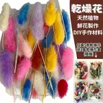 【A-ONE】彩色兔尾草花 永生花 索拉花 DIY手作 花材盒 拍攝道具 佈置 送禮裝飾 居家裝飾 A14