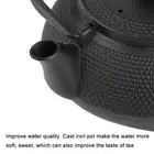 800ml Japanese Style Cast Iron Kettle Teapot Removable Infuser Strainer Tea P GE