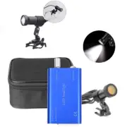 5W LED Dental Medical Head Light w/ Optical Filter Metal Clip Clear Circle Blue