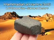 HAMMADAH AL HAMRA 346 (Ghadamis) 197.71g Fusion Crusted Meteorite IMCA Sellers