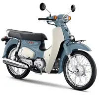 在飛比找momo購物網優惠-【HONDA 本田】SUPER CUB110 2024款(白