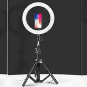 Professional 10 Inch LED Ring Light with Adjustable Tripod Stand for Perfect Lighting in Photography and Videography Black